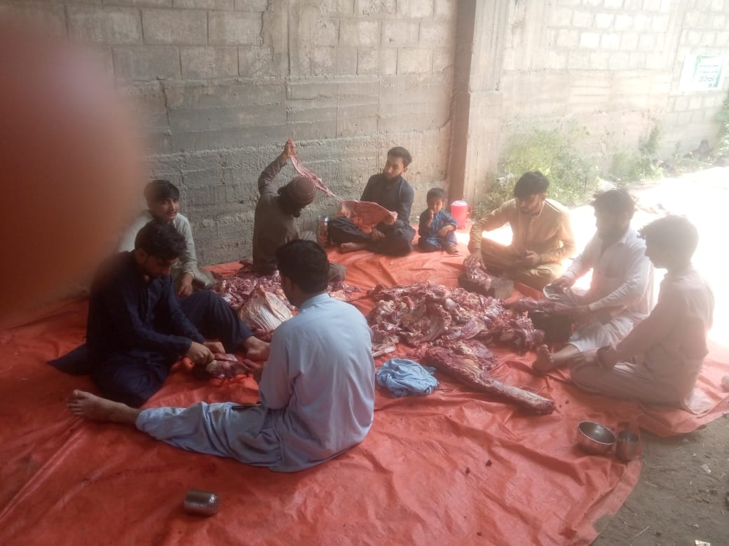 Impact Photo other-25